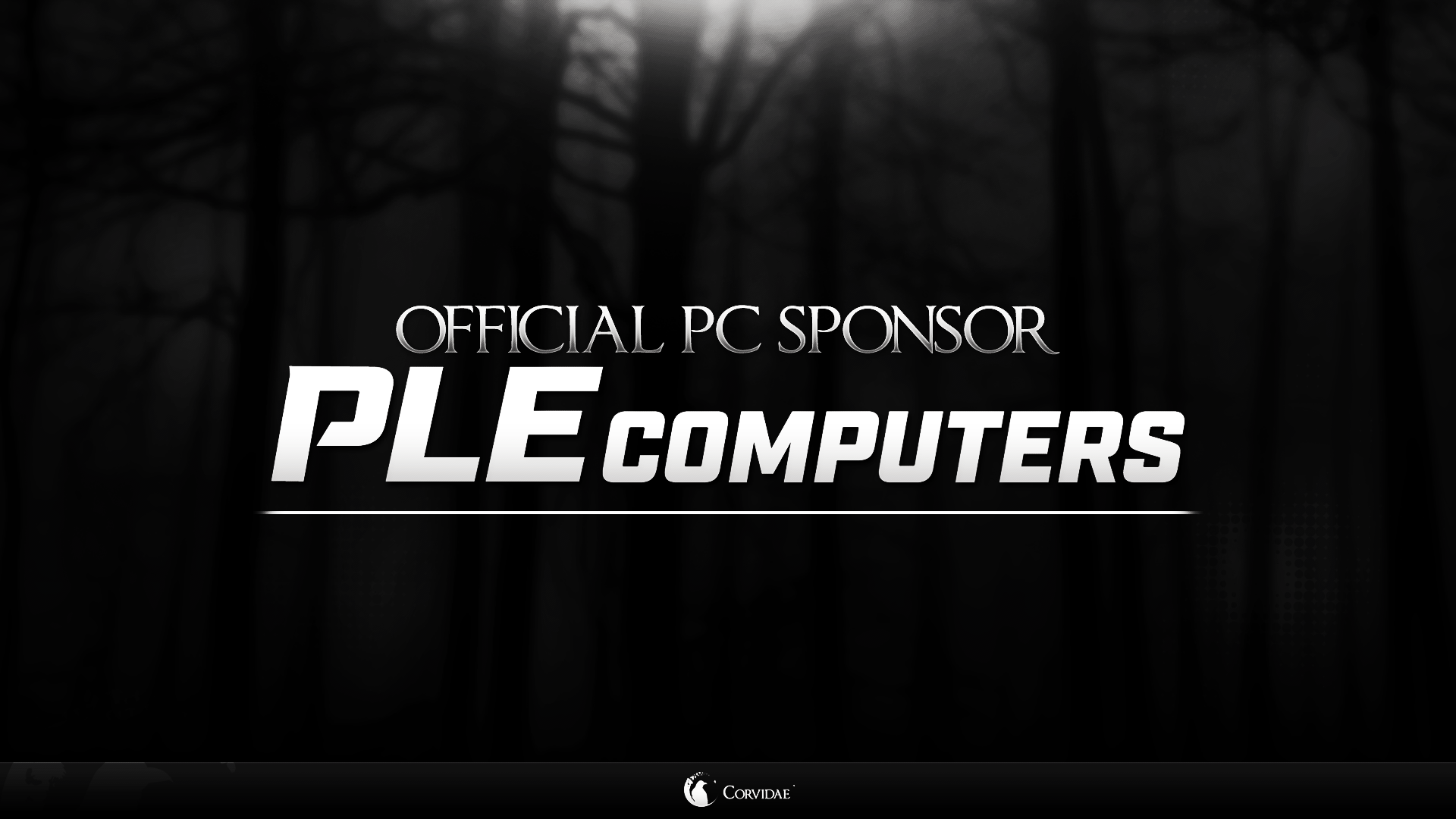 PLEComputers2